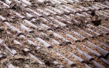 Broadmere roof cleaning companies