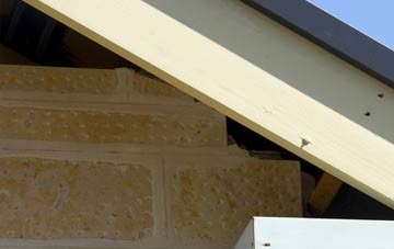 soffit repair Broadmere